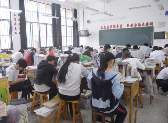 小小设计师用废旧纸盒搭建未来之家让思维的种子在现实土壤中